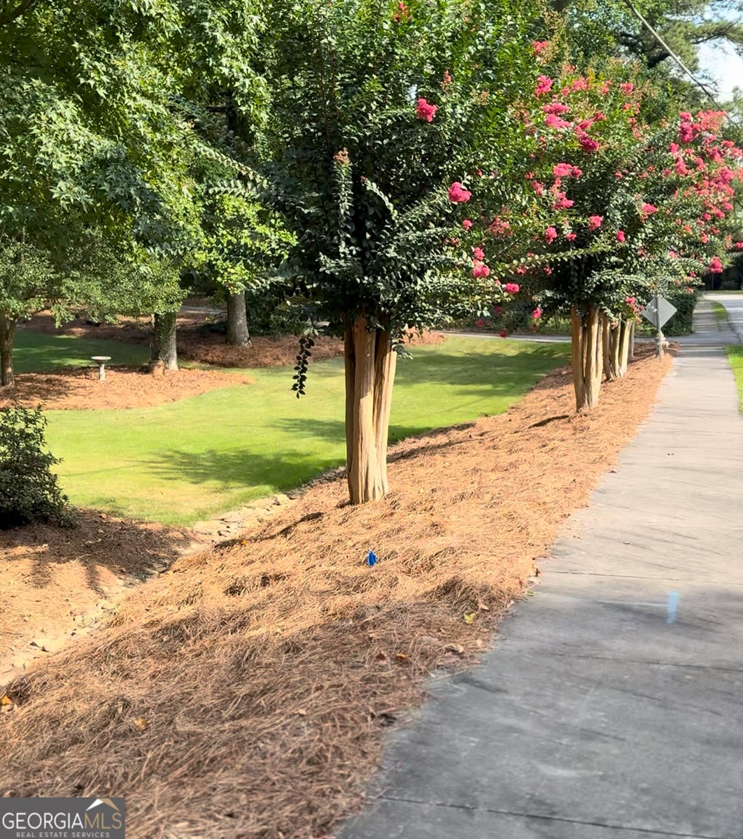 231 Lakeshore Drive Carrollton - 50