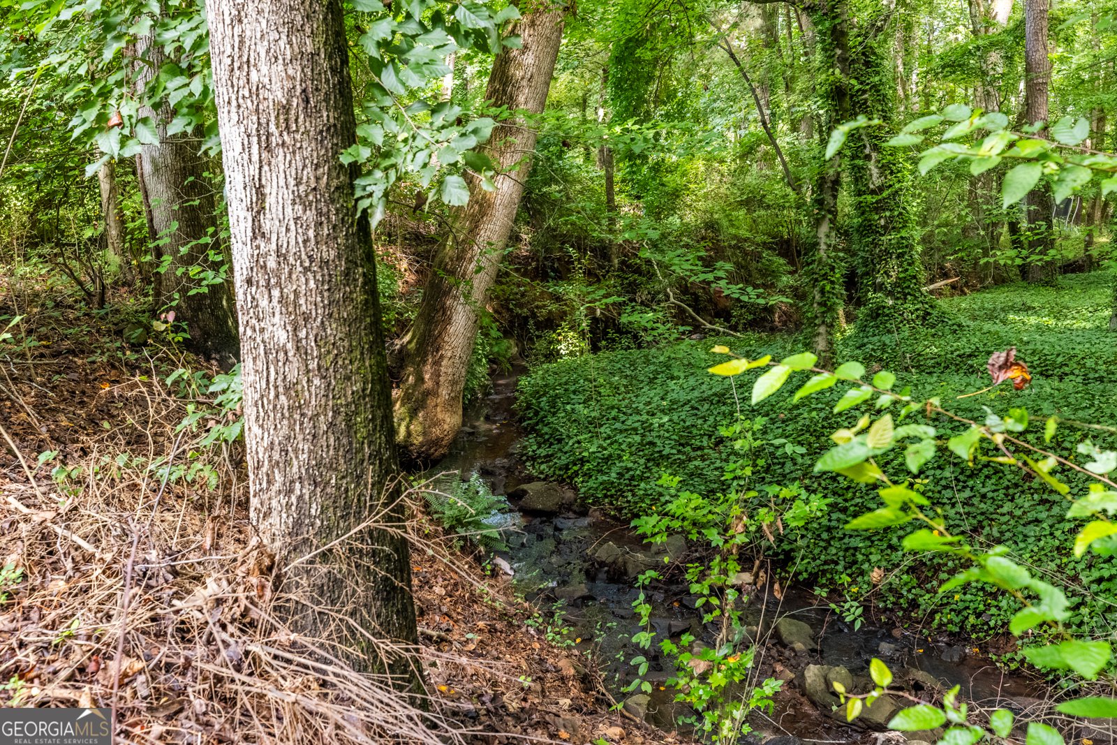 105 Kensington Pond Court Roswell - 65
