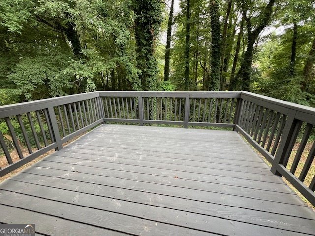 1675 Tree Line Road Lithonia - 16