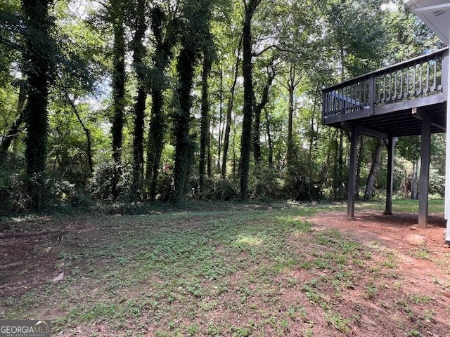 1675 Tree Line Road Lithonia - 9