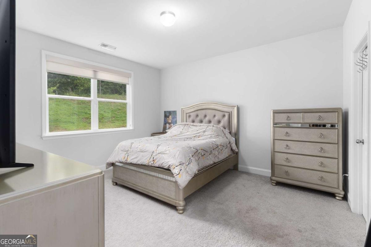 7445 Ansley View Lane Cumming - 30