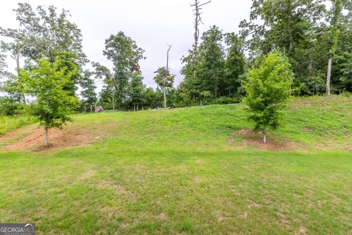 7445 Ansley View Lane Cumming - 61