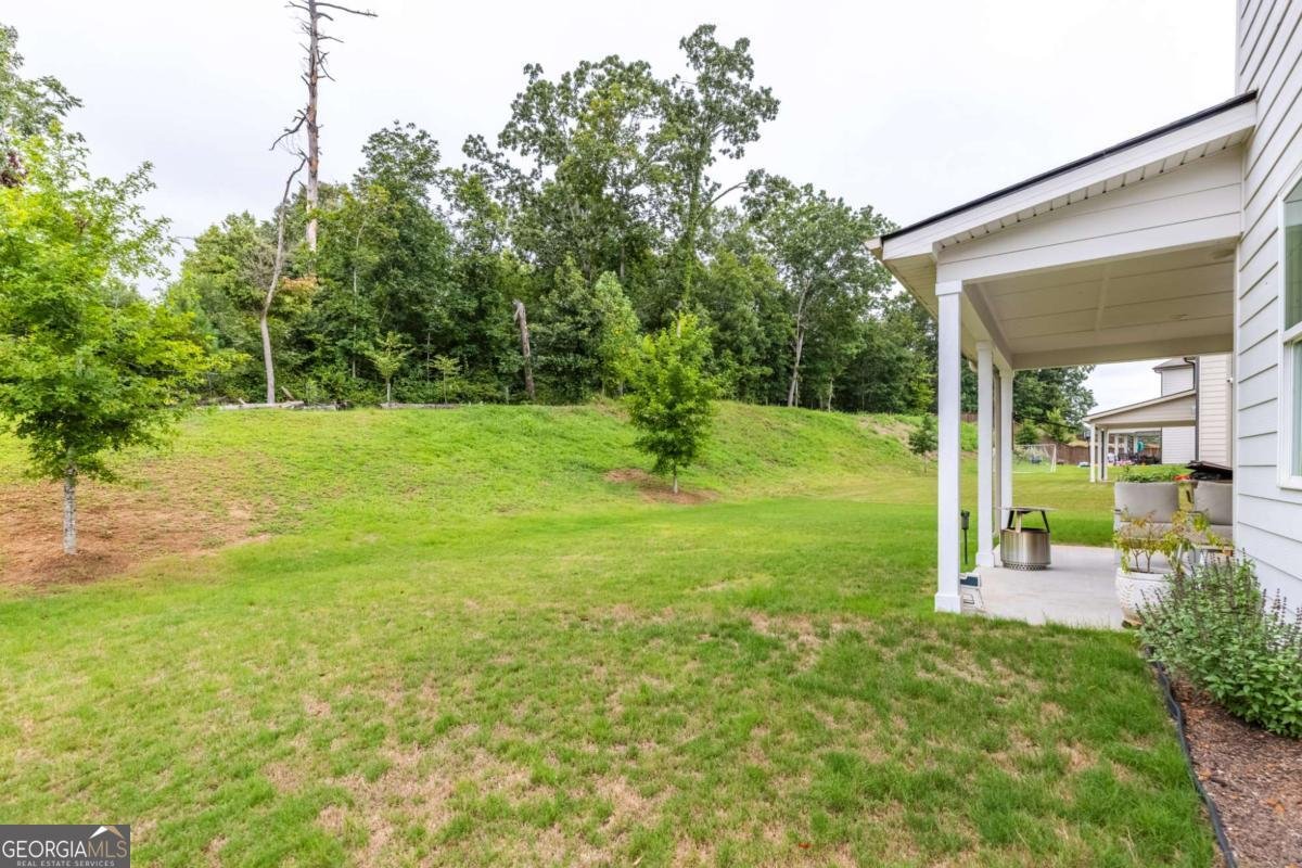7445 Ansley View Lane Cumming - 62