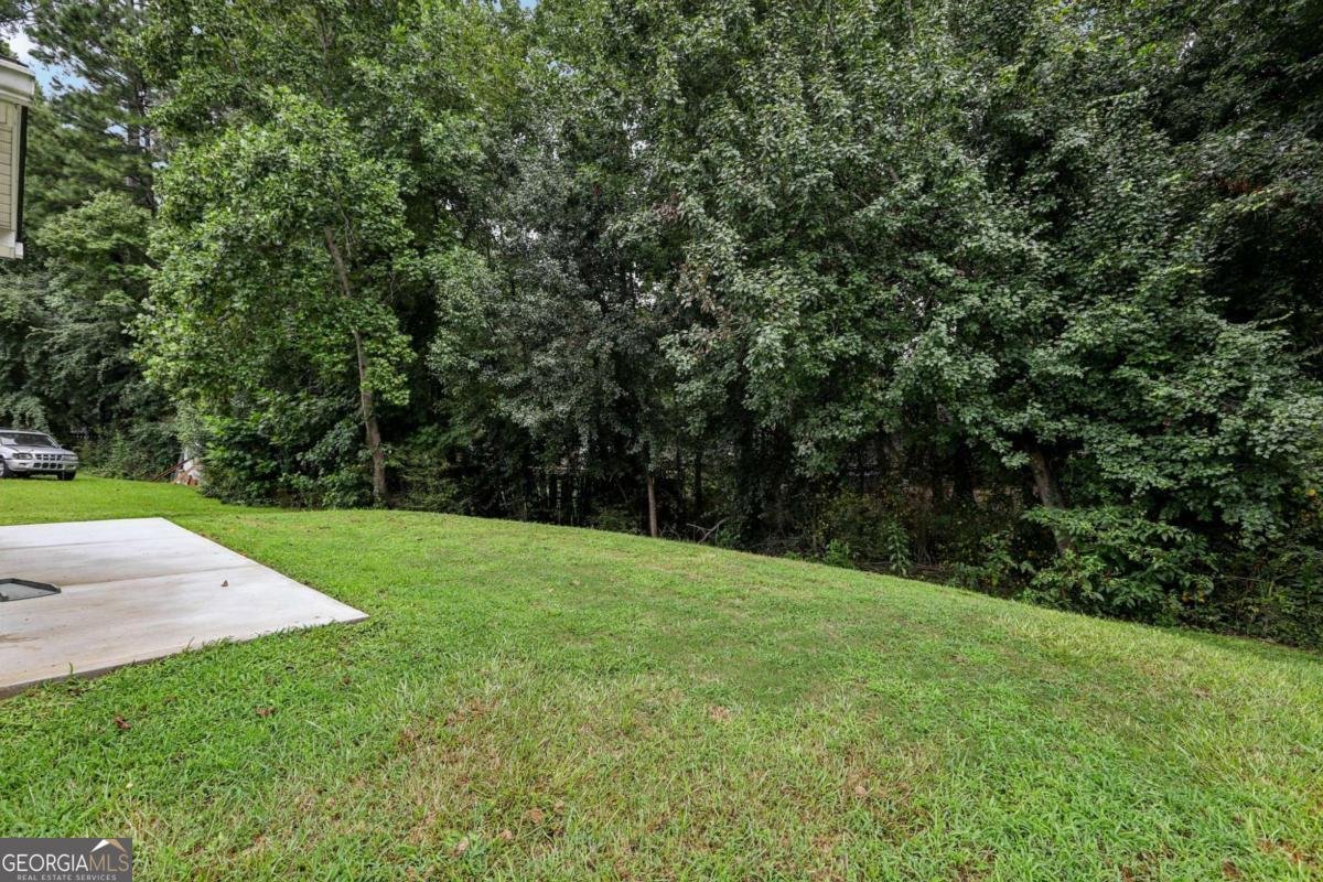 3645 Ten Oaks Circle Powder Springs - 24