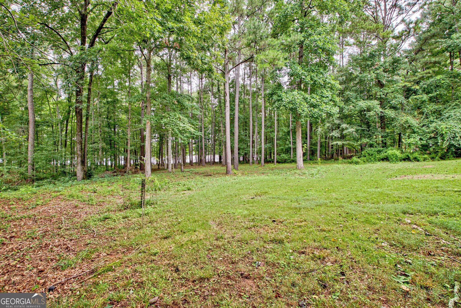 209 Canterbury Drive Lagrange - 36
