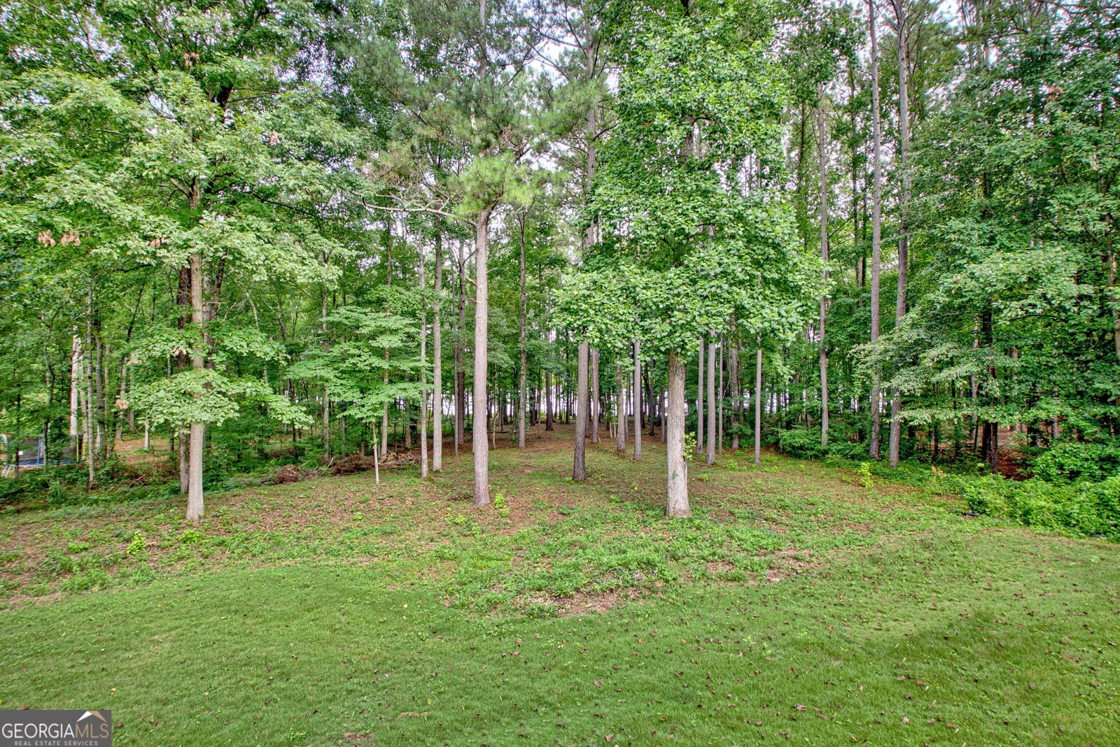 209 Canterbury Drive Lagrange - 43