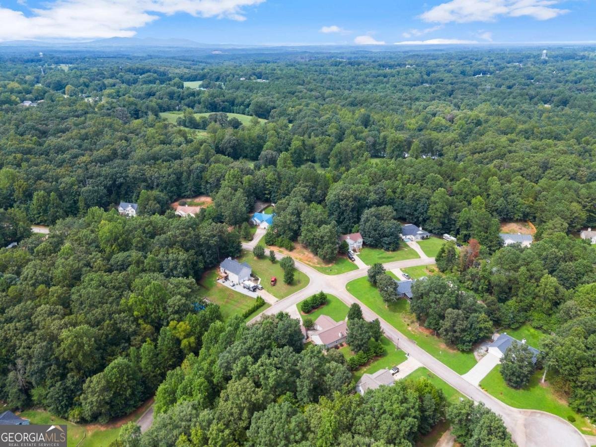 5364 Morgan Manor Drive Lula - 7