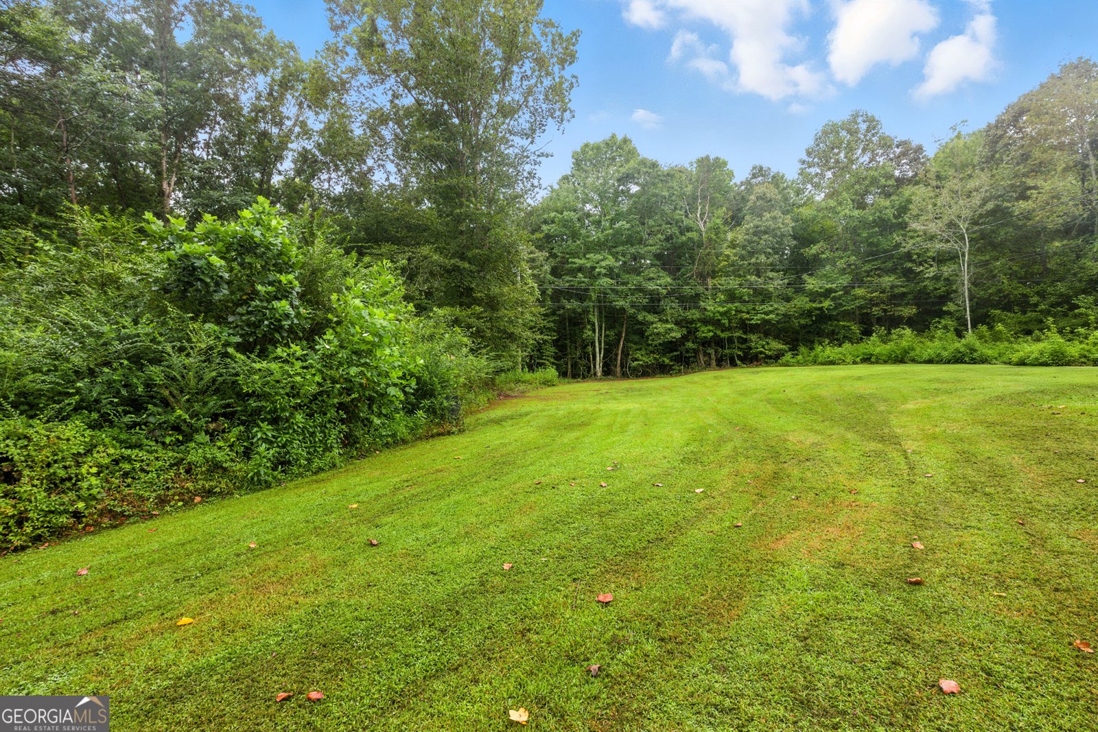 167 Riverbend Road Demorest - 29