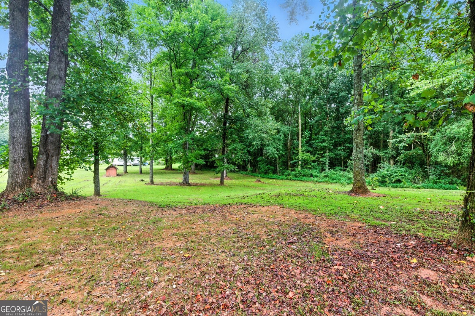 167 Riverbend Road Demorest - 31