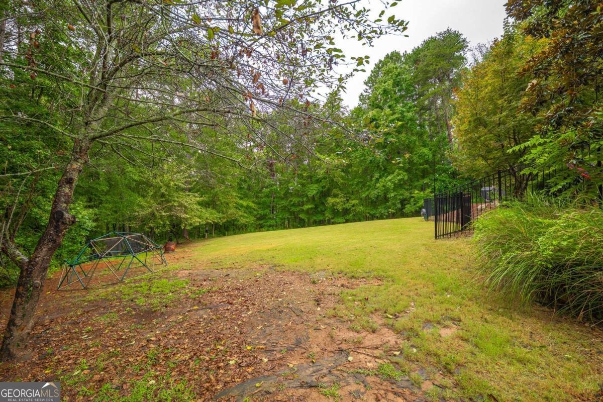 1514 Palm Street Canton - 74