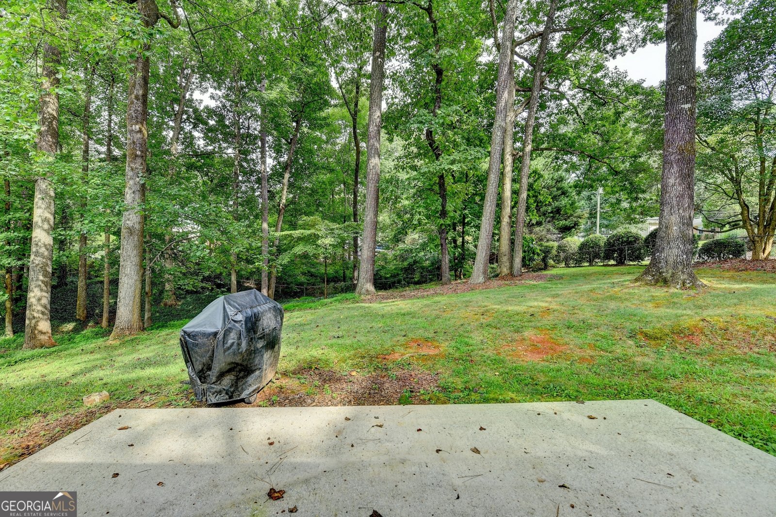 366 Chip Road Stone Mountain - 52