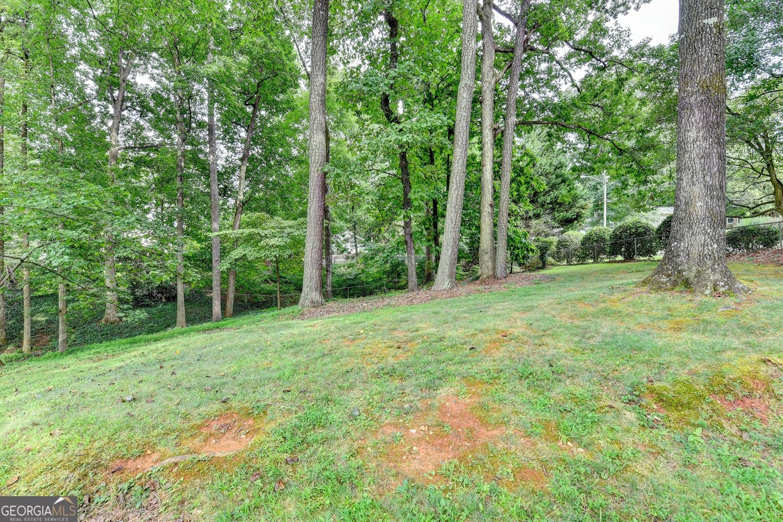 366 Chip Road Stone Mountain - 55