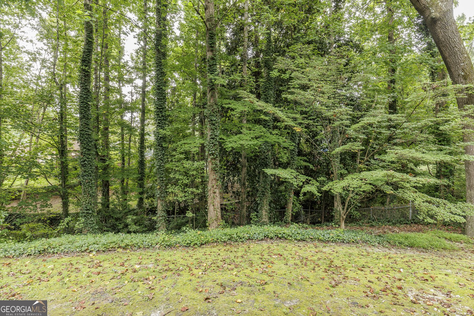 2219 Spring Mill Cove Dunwoody - 16