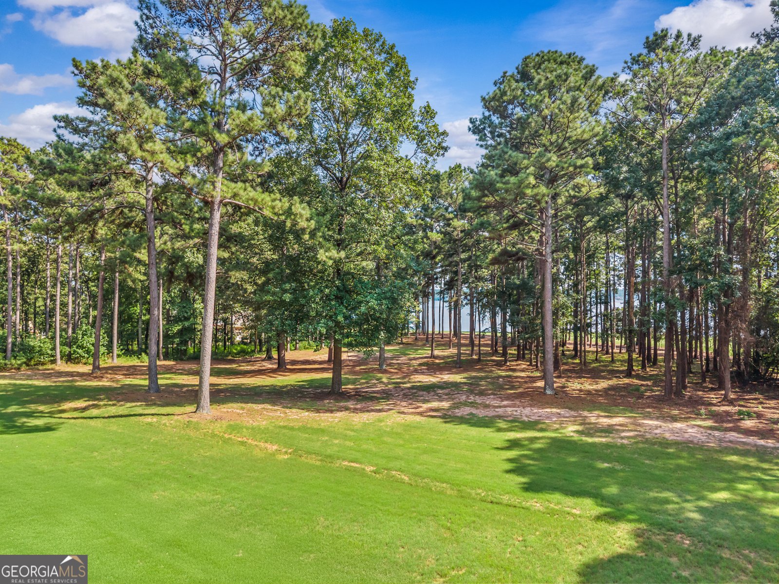 112 Porterfield Drive Eatonton - 46