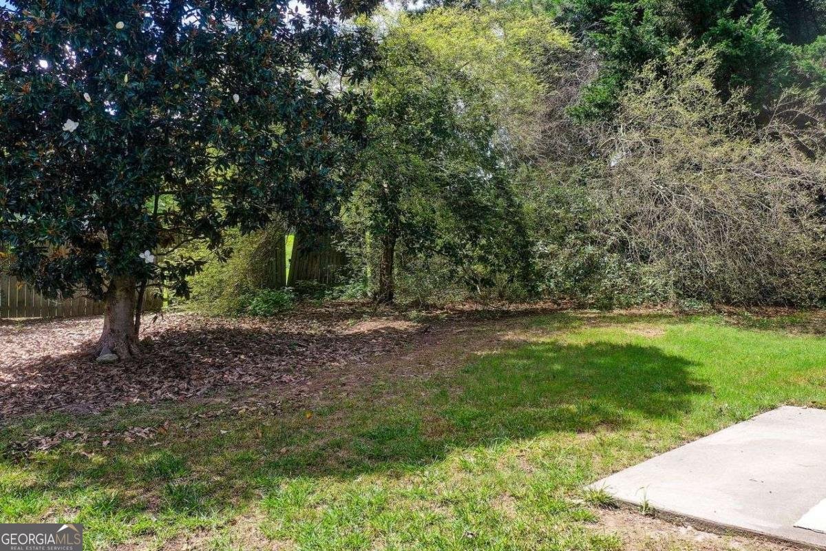 2585 Freemans Walk Drive Dacula - 29