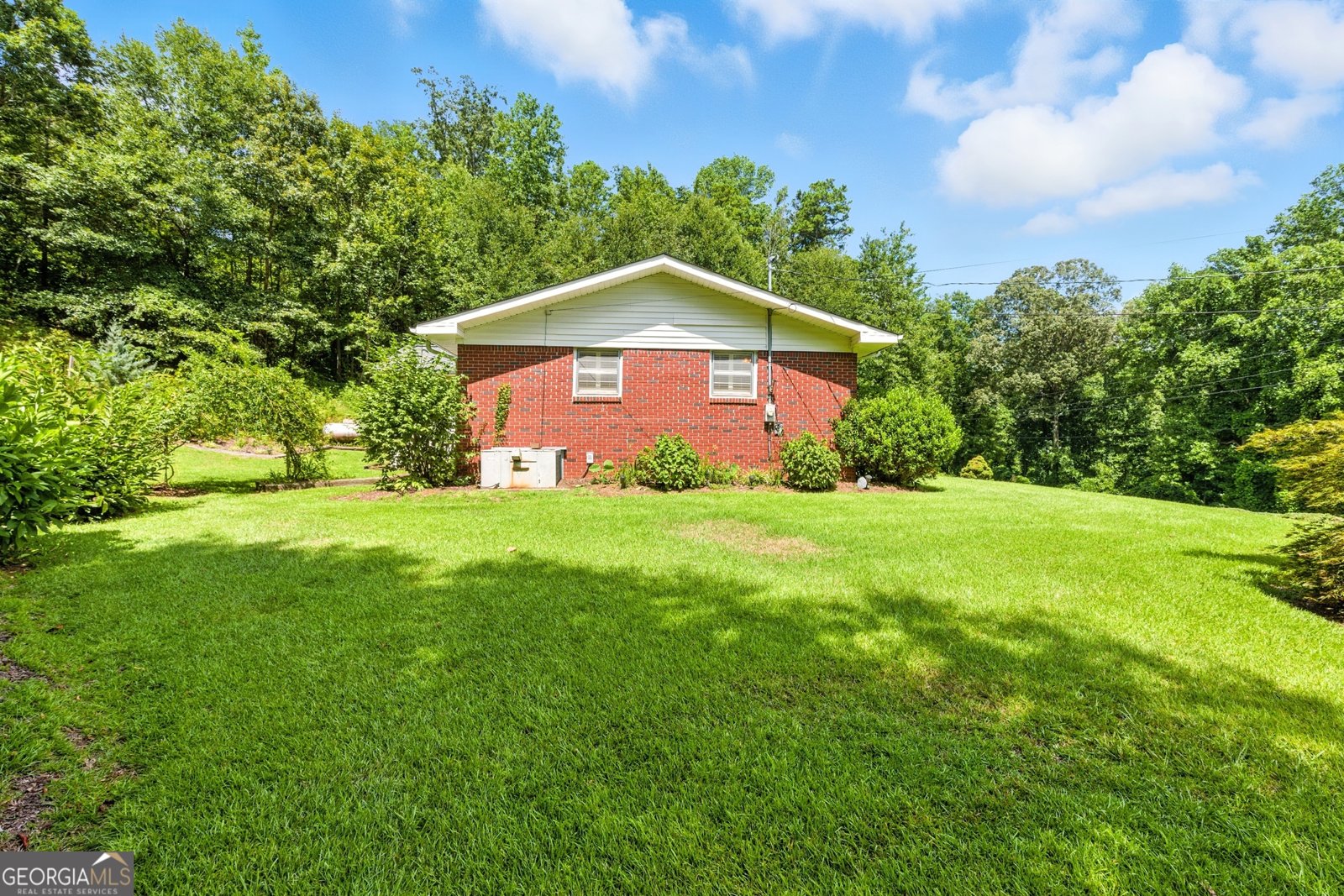 770 Buena Vista Drive Eastanollee - 3