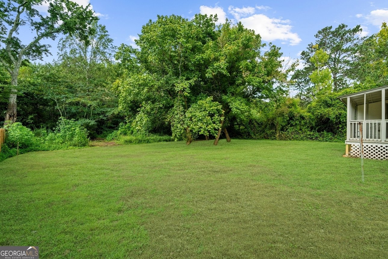 2923 Hall Drive Smyrna - 35