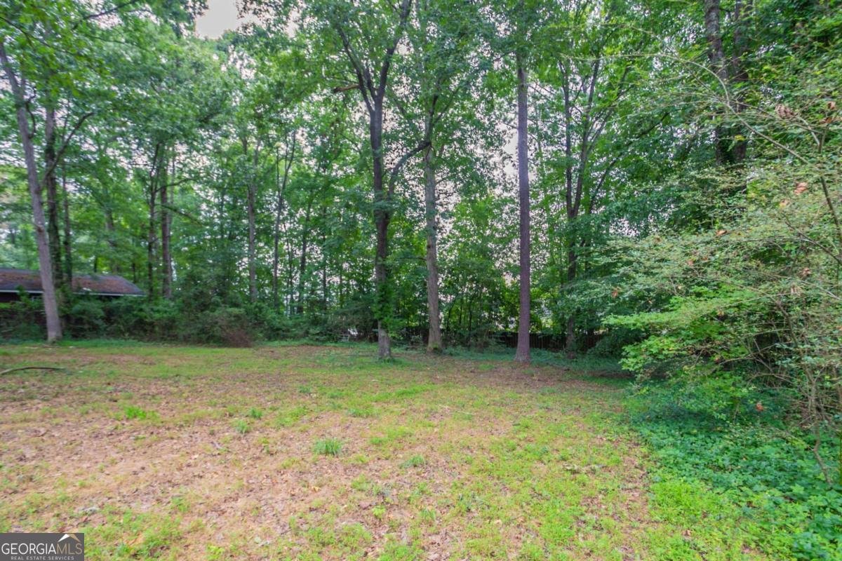 3961 Summit Drive Douglasville - 7