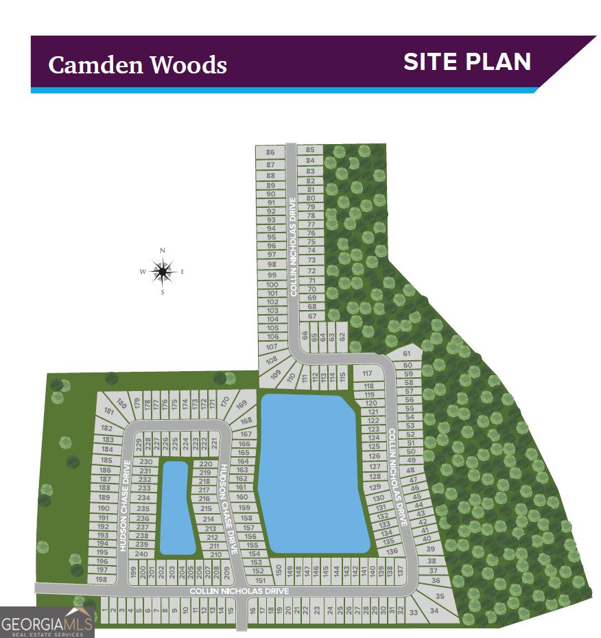 216 Collin Nicholas Drive Kingsland - 3
