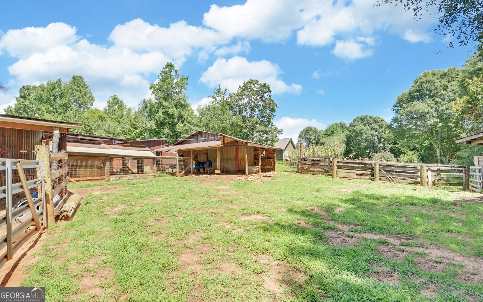234 DH Green Road Demorest - 28