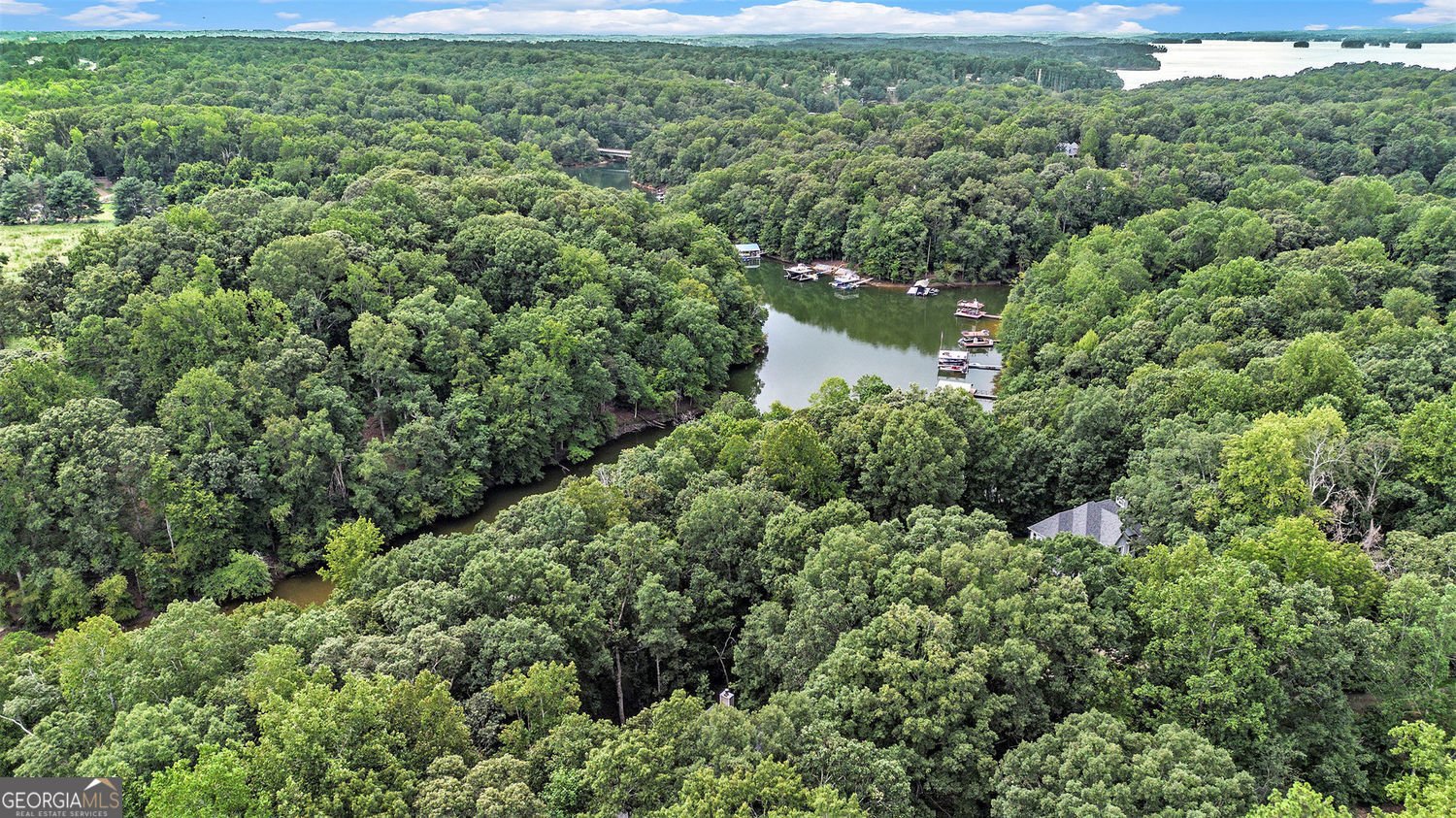 6421 Kettle Creek Way Flowery Branch - 20
