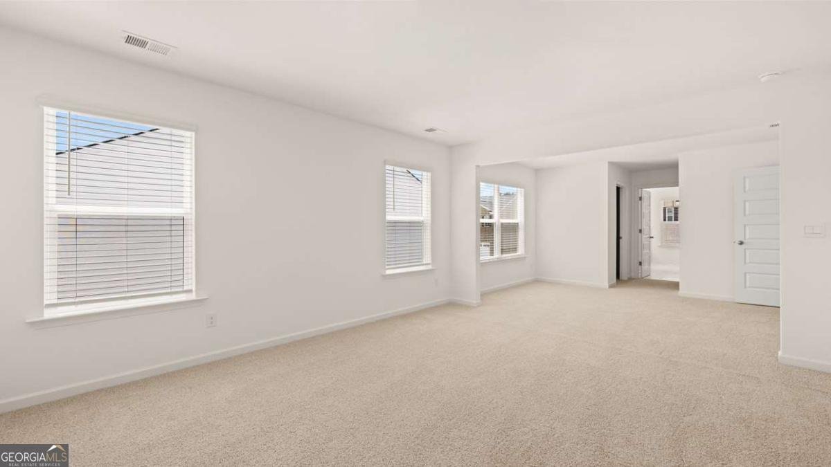 700 Curb Court Locust Grove - 10