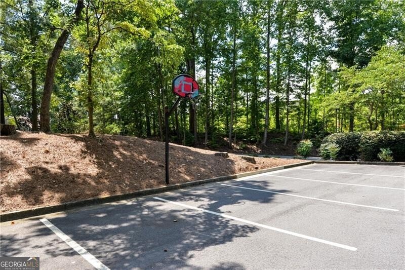 54 Basswood Circle Atlanta - 59