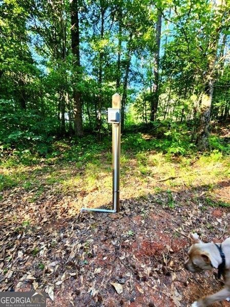76 Beach Creek Circle Winder - 9