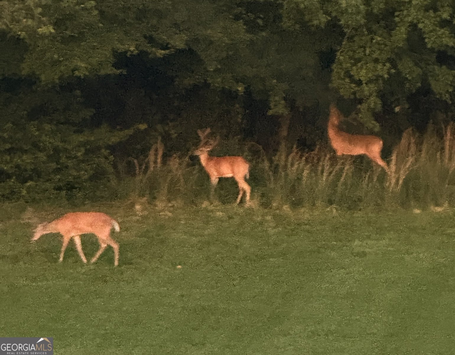 2760 Camp Branch Road Buford - 82