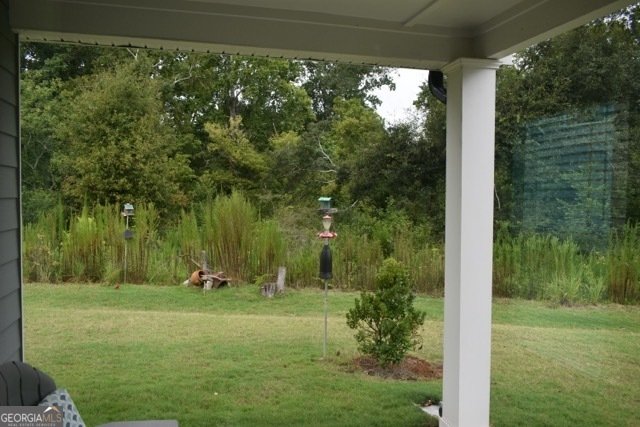 6076 Hickory Creek Court Braselton - 17
