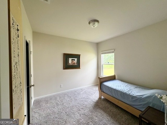 6076 Hickory Creek Court Braselton - 22