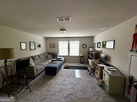 6076 Hickory Creek Court Braselton - 23