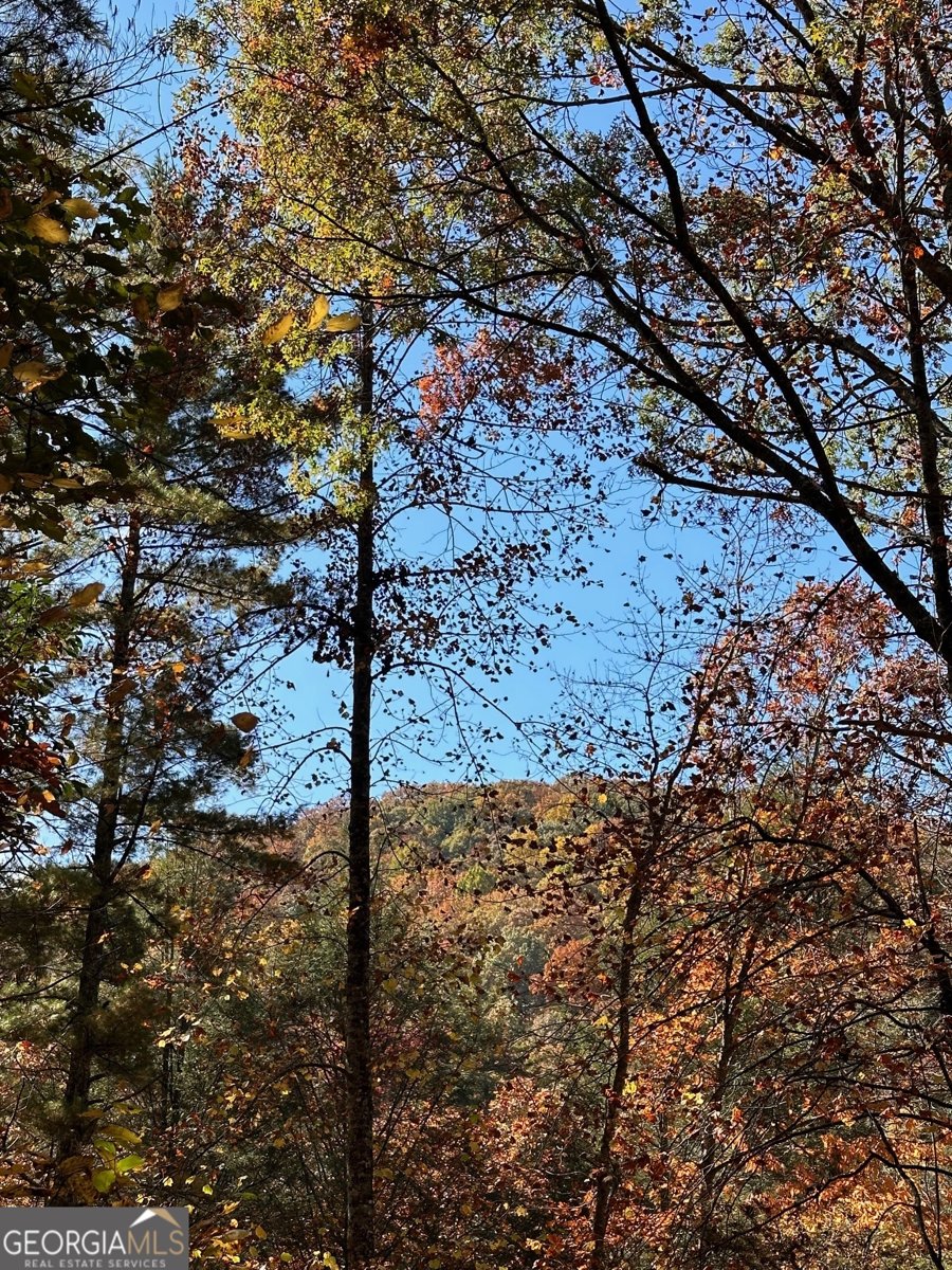 708 Wilson Mountain Road Blairsville - 43