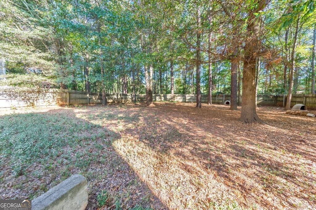 5316 Rolling Meadow Drive Powder Springs - 20