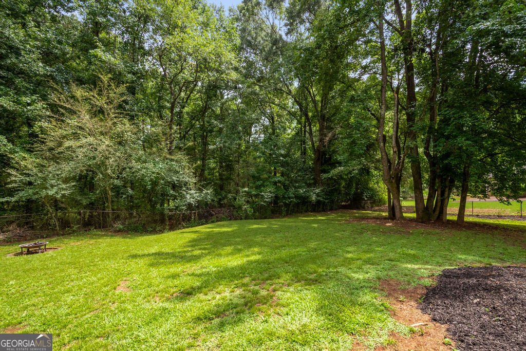 335 Burch Road Fayetteville - 10
