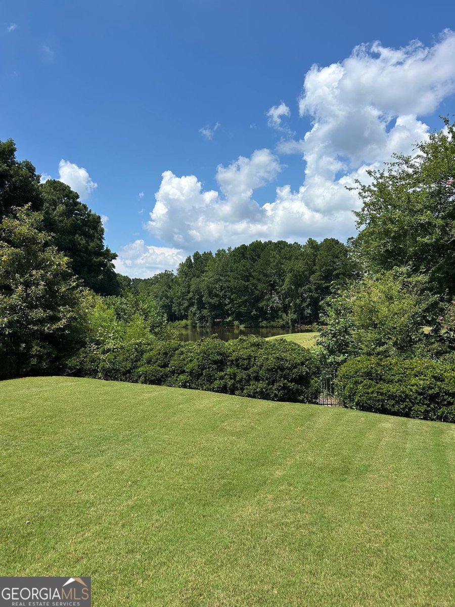 3055 Rocky Brook Drive Alpharetta - 3
