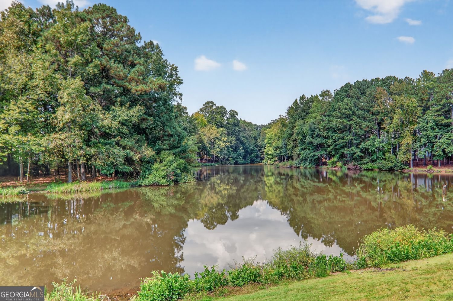 3055 Rocky Brook Drive Alpharetta - 9