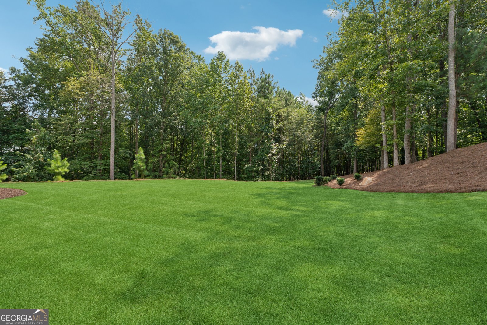 1260 Cashiers Way Roswell - 48