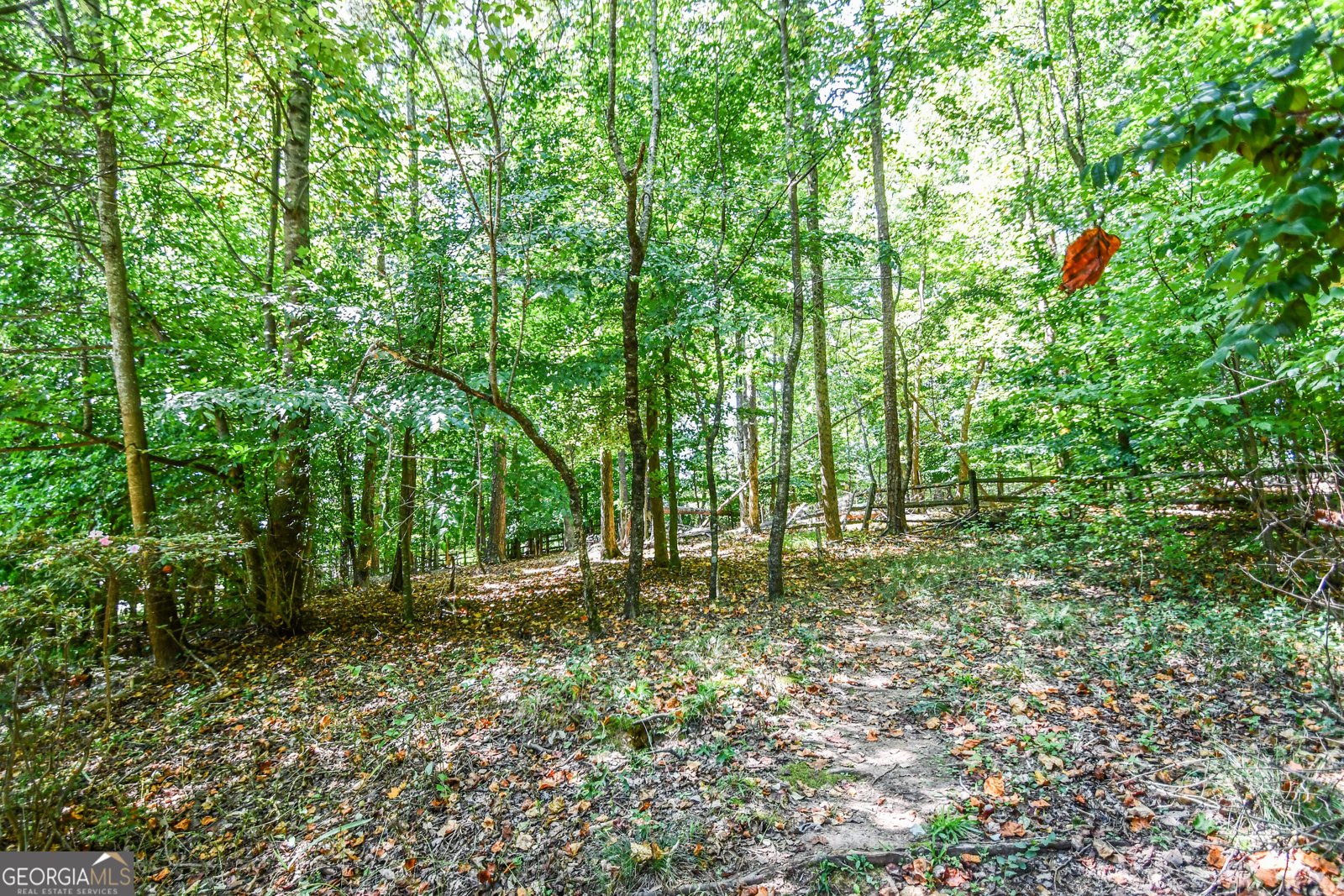 5730 Paces Place Suwanee - 37