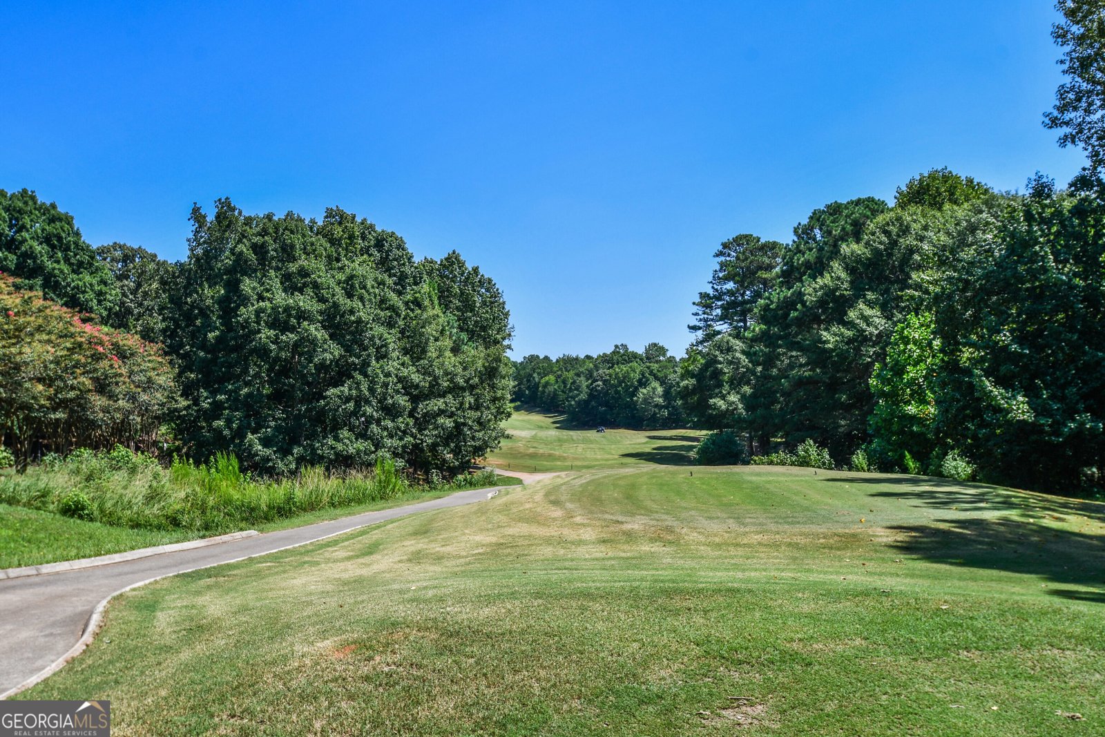 5730 Paces Place Suwanee - 55