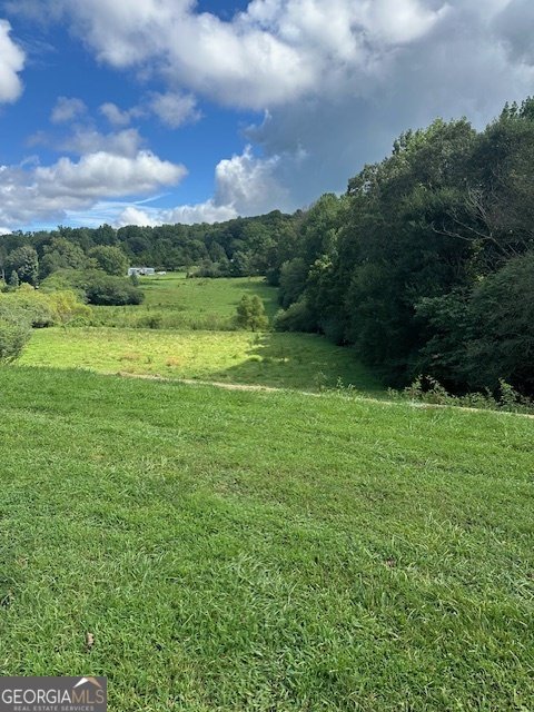 1323 Cavender Creek Road Dahlonega - 50