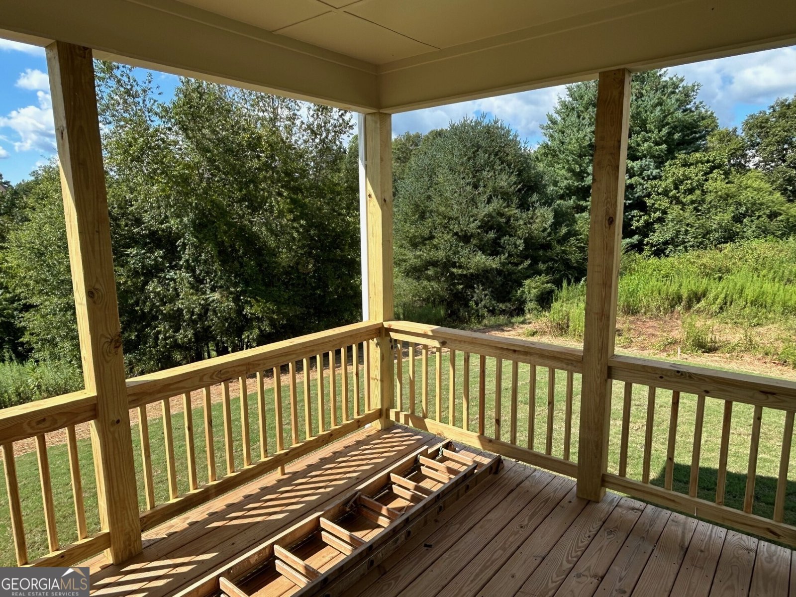 242 Sweetgrass Drive Demorest - 2