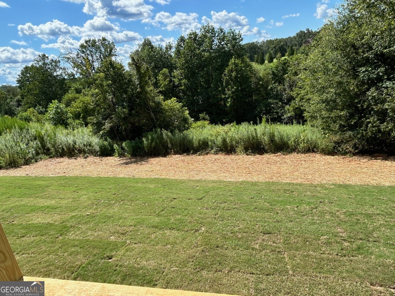 242 Sweetgrass Drive Demorest - 4