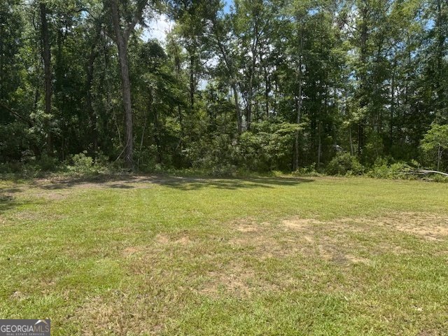 404 Elwick Place Statesboro - 3
