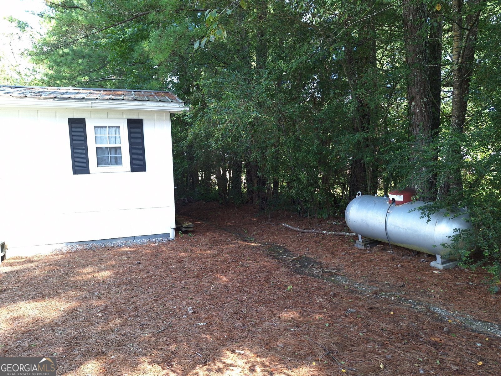 3695 Antioch Road Cedartown - 37