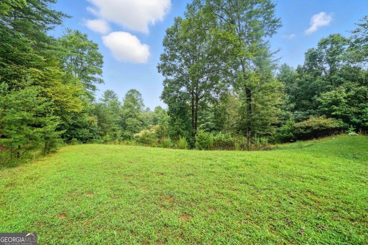 87 Dillons Lane Morganton - 11