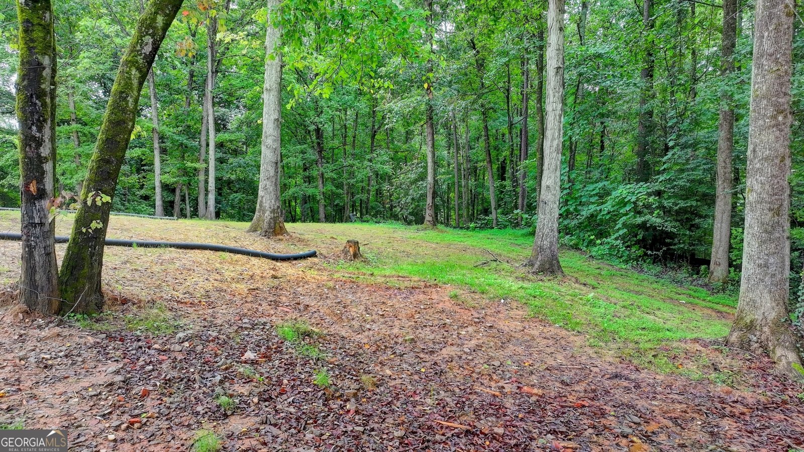 5363 WG Robinson Road Gainesville - 74