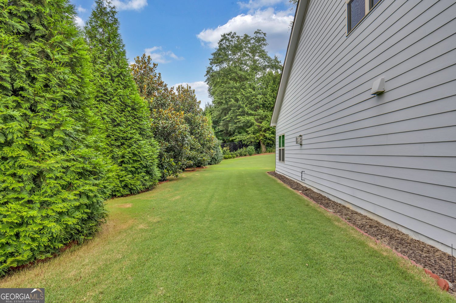 4104 Jayla Drive Drive Buford - 4