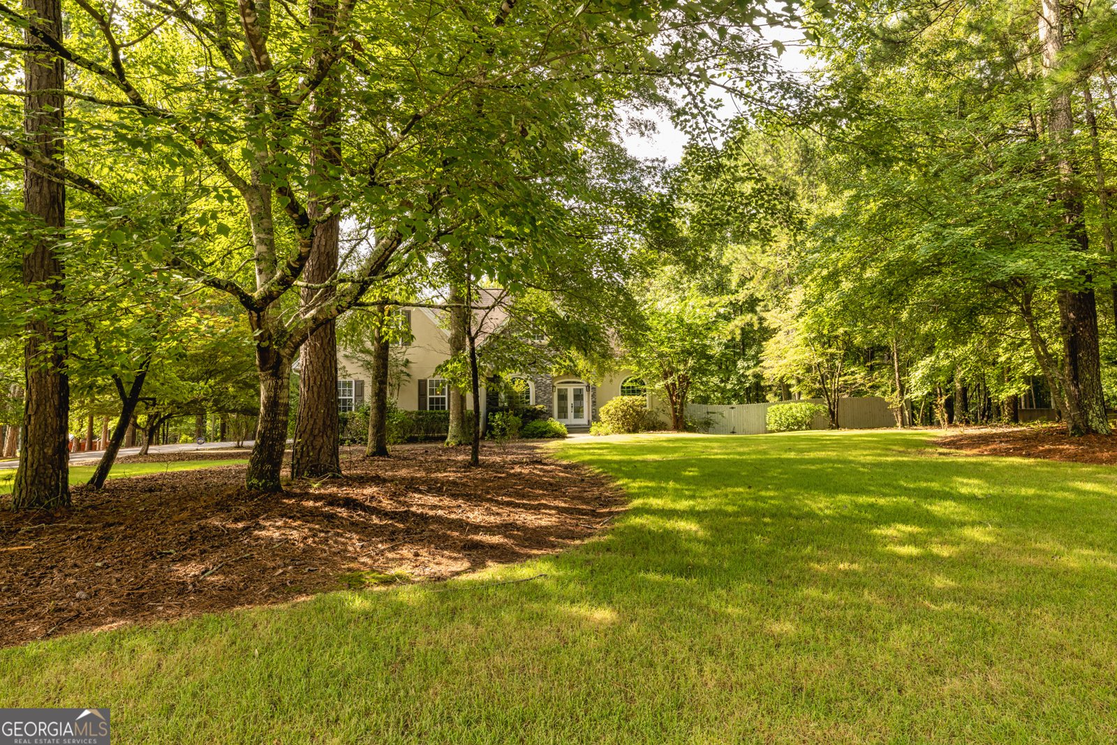 16 Enclave Lane Newnan - 3