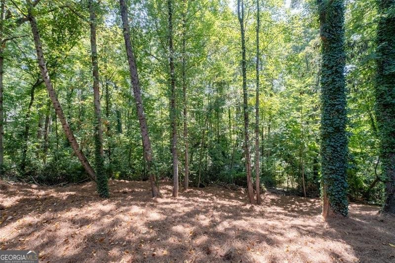 4166 RIVERHILL Court Roswell - 33